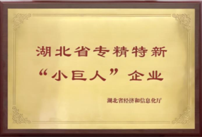 证书展示2